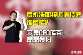 林州融资清欠服务